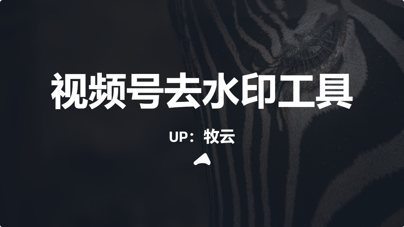 微信视频号下载工具 v260310 中文绿色便携版-牧云资源库