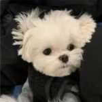 3357803767的头像-牧云资源库